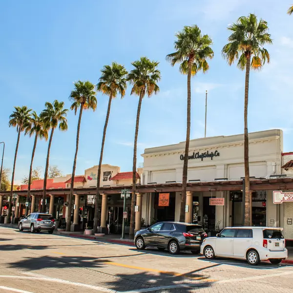 Local Events and Attractions to Enjoy in Chandler This November,Wes Bender