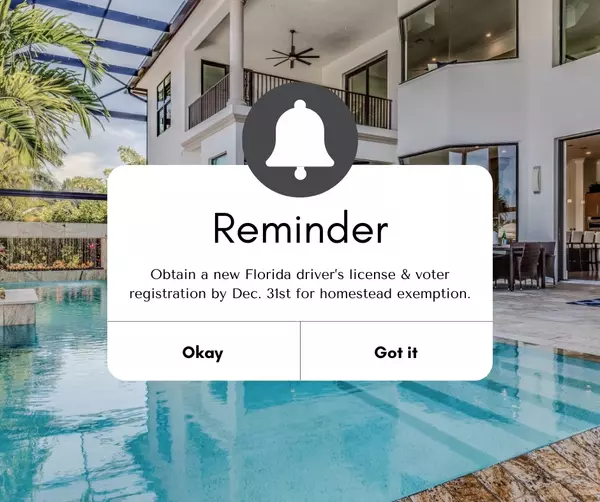 Homestead Exemption,Jennifer Paulke