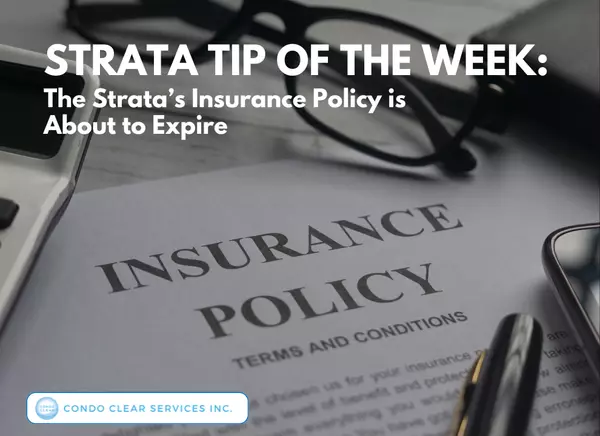 feature image of Strata Tip of the Week - The Strata’s Insurance Policy is About to Expire