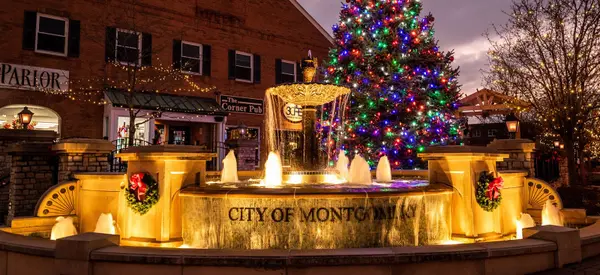 2020-Tree-Lighting-Photo-by-Fred-Haaser