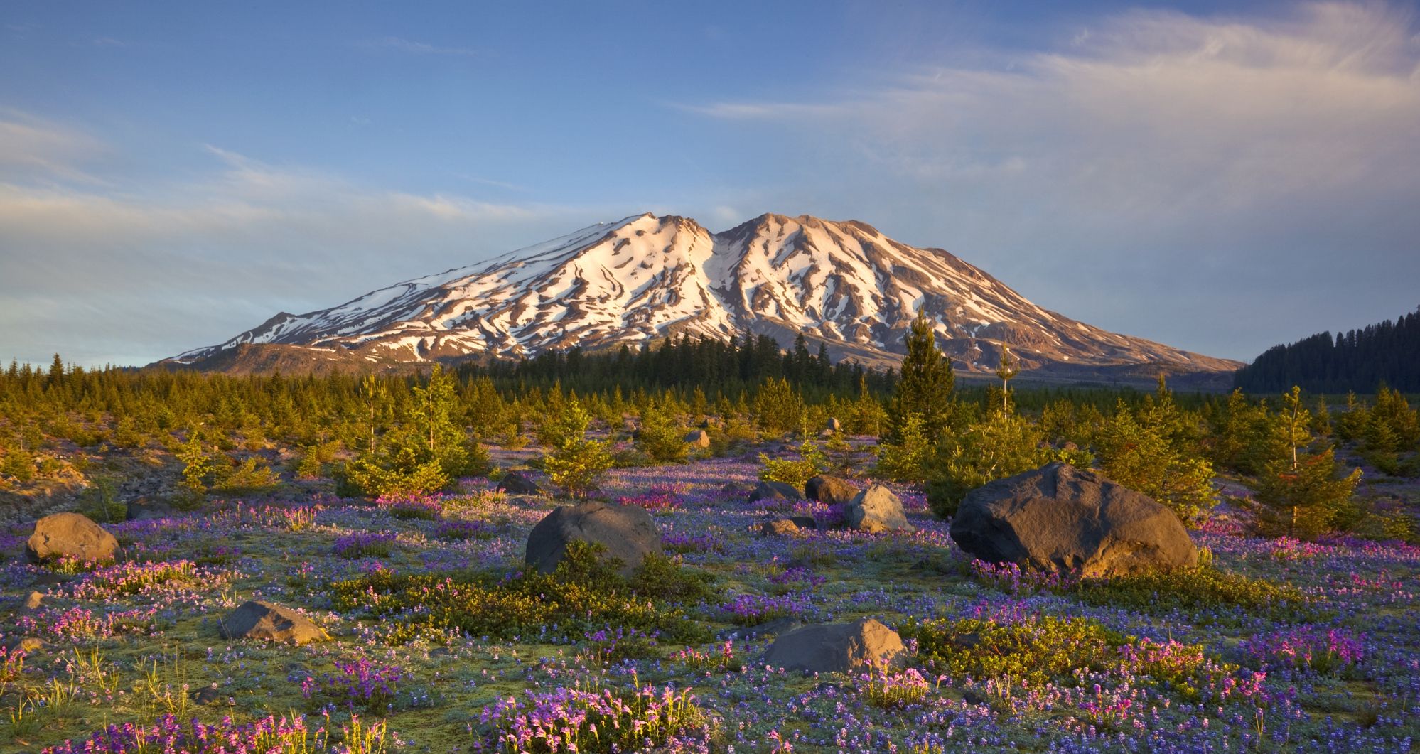 Mt St. Helens