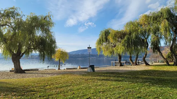 feature image of The Current State of the Okanagan Real Estate Market Amid Economic and Policy Shifts