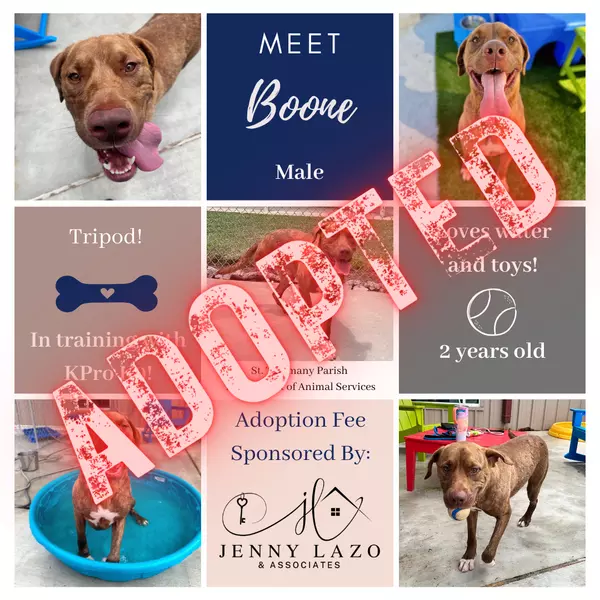 Boone adopted