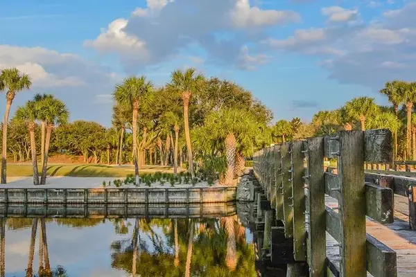 Discover the Charm of Ponte Vedra: Florida's Hidden Coastal Gem,Susan Dunham