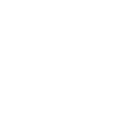 White Logo 