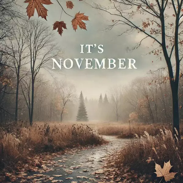 feature image of It&#39;s November...