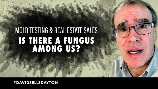 Realtor Tips: Mold Testing and Real Estate Sales,David Campbell