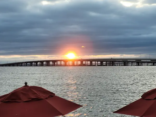 5 reasons to move To Tampa Bay ,Ryan Yamini