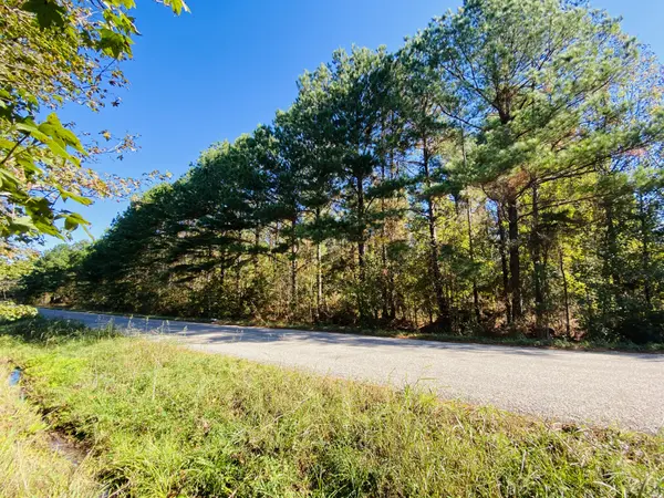 Pine trees line road frontage on Small Acreage for Sale East TX Tyler TX Smith County
