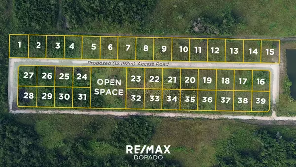 Cayo District, Lots,Frank's Eddy Area