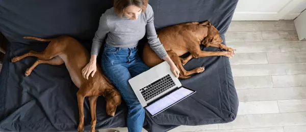 Essential Tips for Keeping Your Home Clean and Inviting with Pets,Kimberly Picado