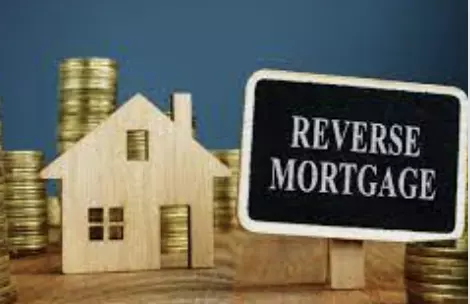 Reverse Mortgage,Leona Newell