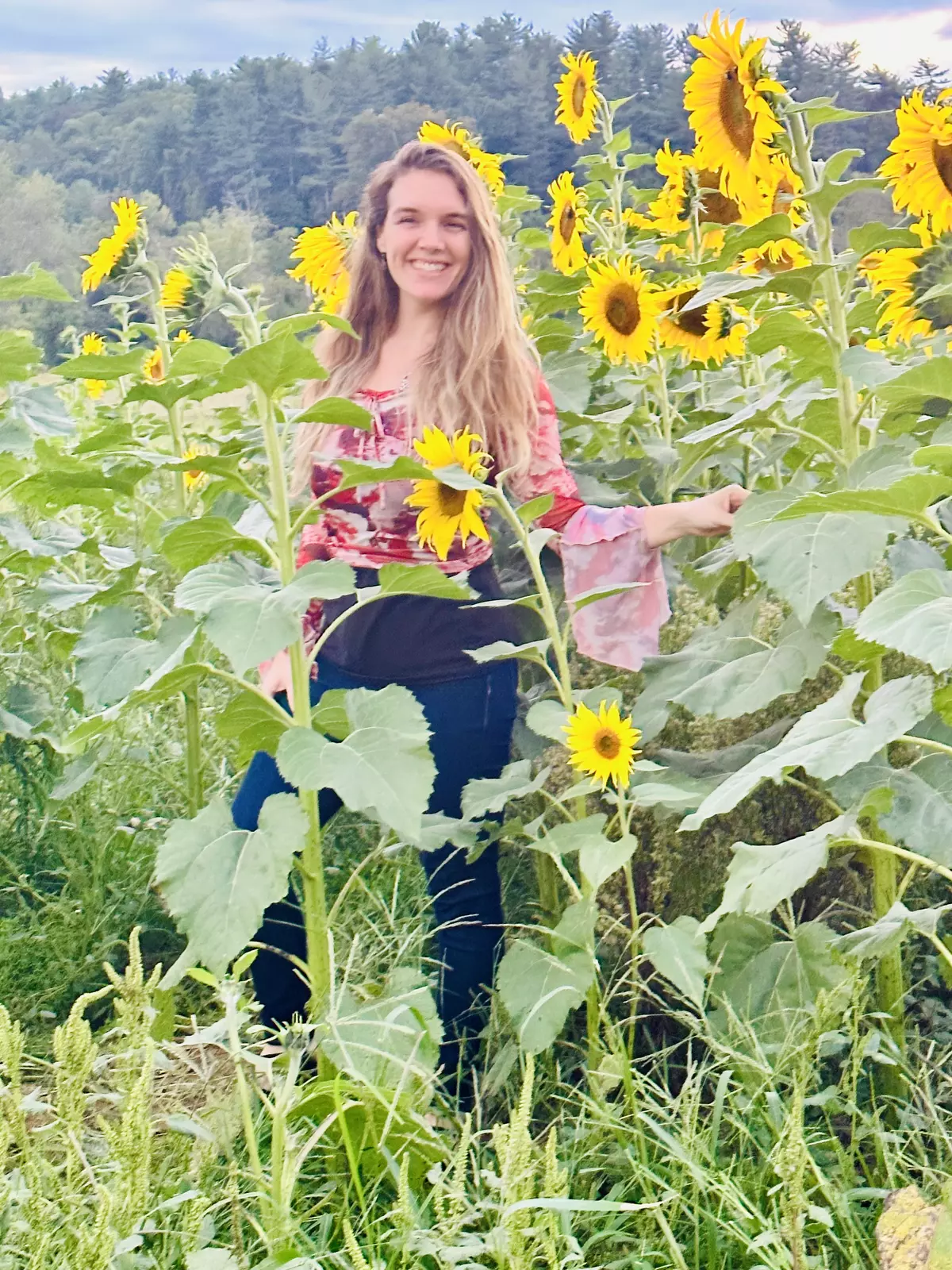 Brandi - Sunflowers!