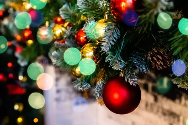Charleston In the News - December 2024