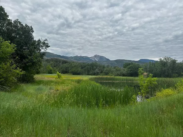 Homes are Continuously Selling for Less Than List Price: Key Market Insights and Trends,Rachel Sadler