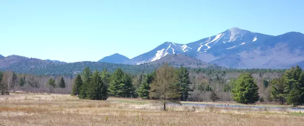  Top 3 Adirondack Areas to Invest in Real Estate: Where Scenic Beauty Meets Big Returns ,Bonny Durbin