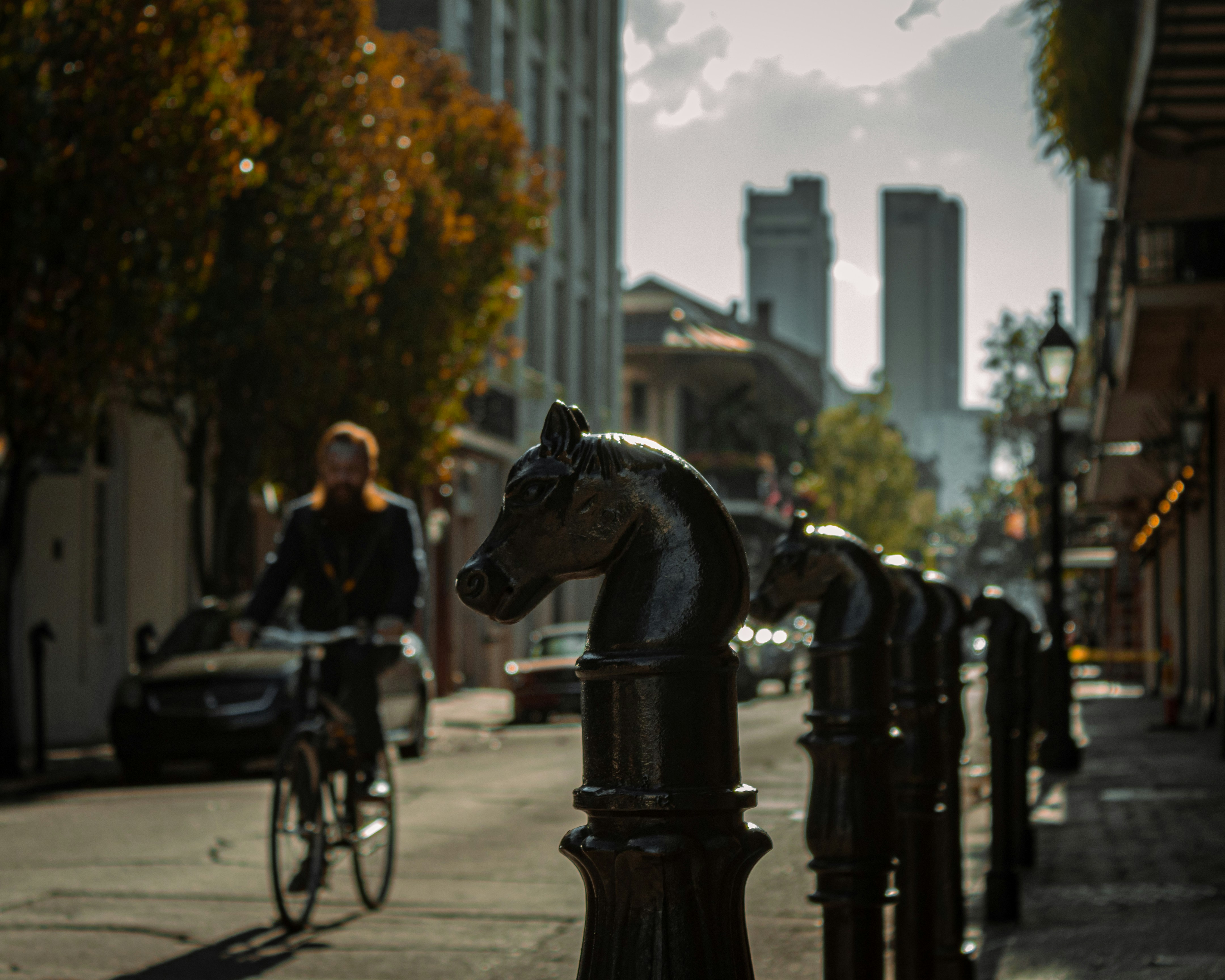  A man on a bike rides past nostalgic hitching posts in New Orleans.