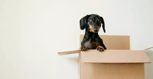 5 Ways Agents Make Moving Stress-Free