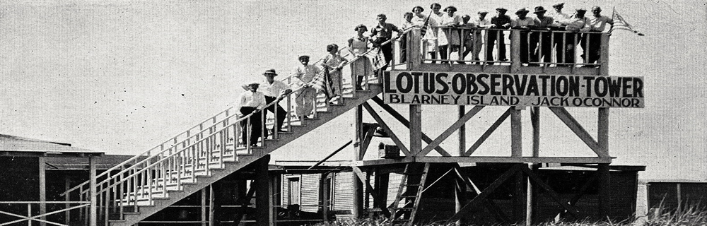 Lotus Flower observation Deck Blarney Island, Antioch, IL