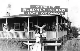 The Legend of Shorty Shobin and the Haunting of Blarney Island,Dick Barr, CRS