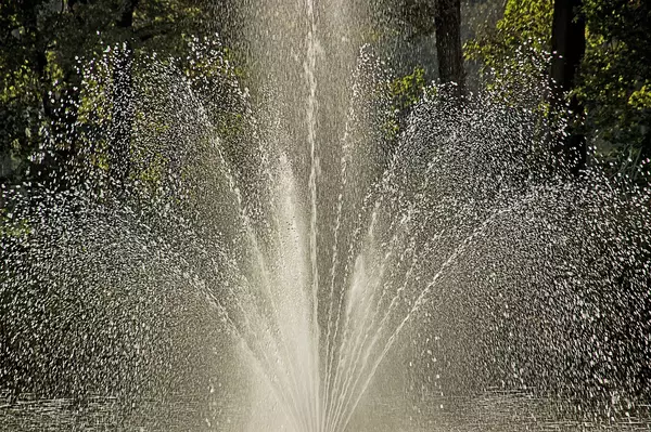 Discover Mister Fountain: The New Business Bringing Zen to Homes in The Woodlands,Bren Brewer