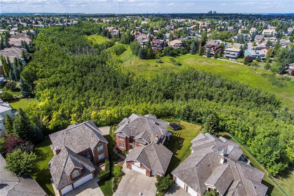 An aerial view of a lush green area surrounded by upscale homes in a residential neighborhood. The homes feature large roofs, manicured lawns, and expansive driveways. The dense wooded area creates a natural green buffer, offering privacy and scenic beauty to the surrounding properties. Other residential houses and roads are visible in the background under a clear blue sky.