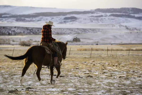 Why Move to Bozeman?