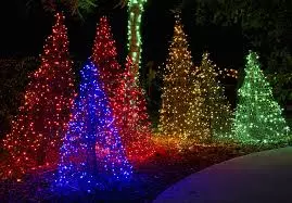 Best Holiday Light Displays in the GTA for 2024,Ana Bastas