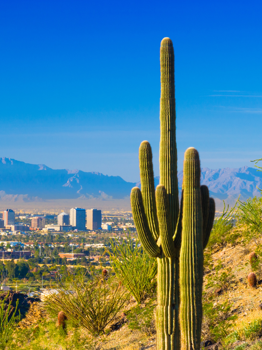 10 top housing hot spots 2025-phoenix arizona