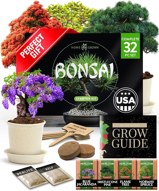 unique gifts from amazon-bonsai tree