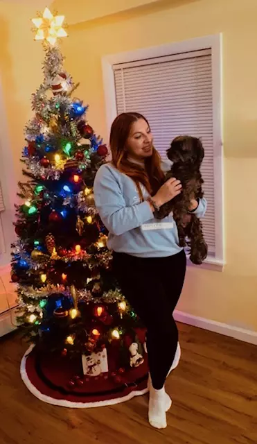 Host the Perfect Christmas Gathering: Smart Home Tips for a Festive Holiday,Christina Chorna