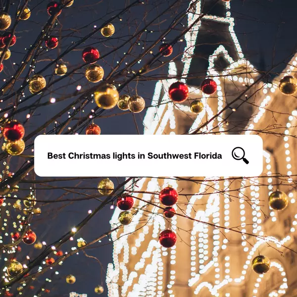 Christmas Lights in SWFL,Jennifer Paulke