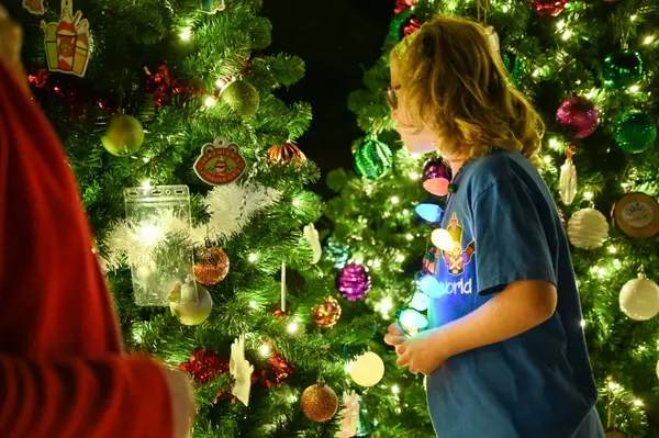 December 2024 Newsletter,Heidi Spielman