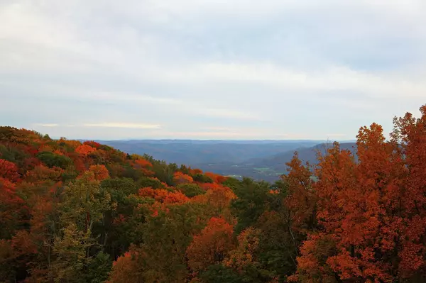 The Benefits of Selling Your Home During Different Seasons