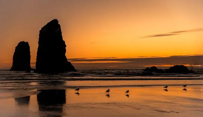 Cannon Beach