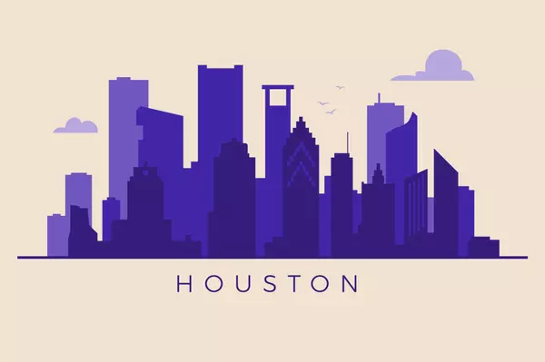 Exploring Houston: A Comprehensive Guide to the City and Its Suburbs,Aura Pou