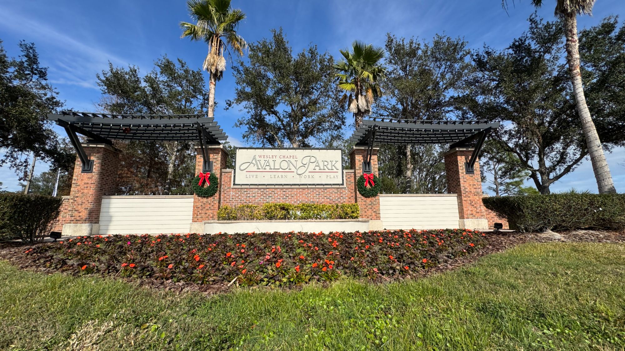 Avalon Park in Wesley Chapel