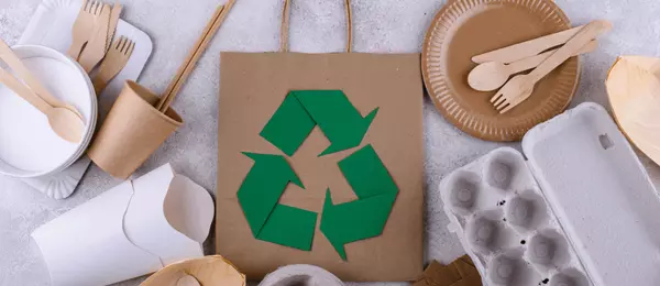 Go Green: Create an Eco-Friendly Home,Kimberly Picado