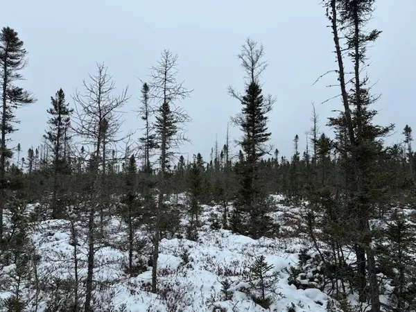 40 Acres in Cromwell on Low Traffic Road,Chuck Carstensen