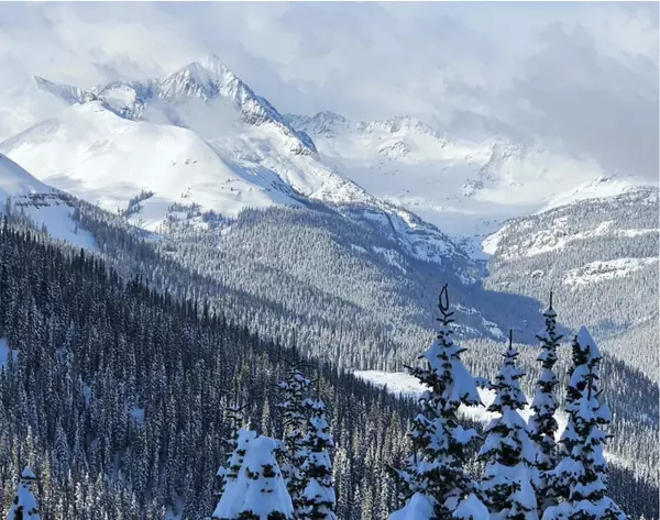 Why I am not worried about The NAR Settlement: With Any Great Change Comes A Great Opportunity,Rachel Sadler