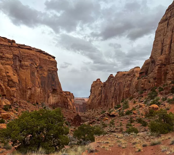 FHA's Recent Clarification on Seller-Paid Commissions: What You Need to Know,Rachel Sadler