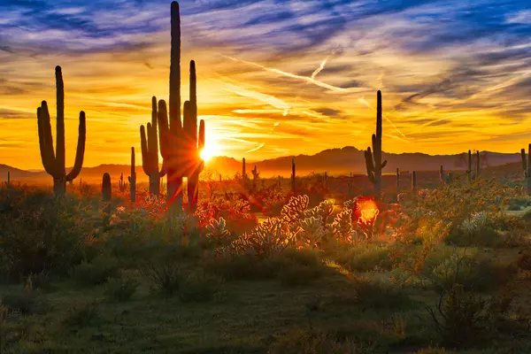 Moving to Phoenix Metro Area: Everything You Need to Know