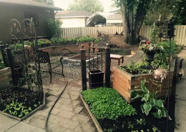 Top 9 reasons to have a home garden in the city