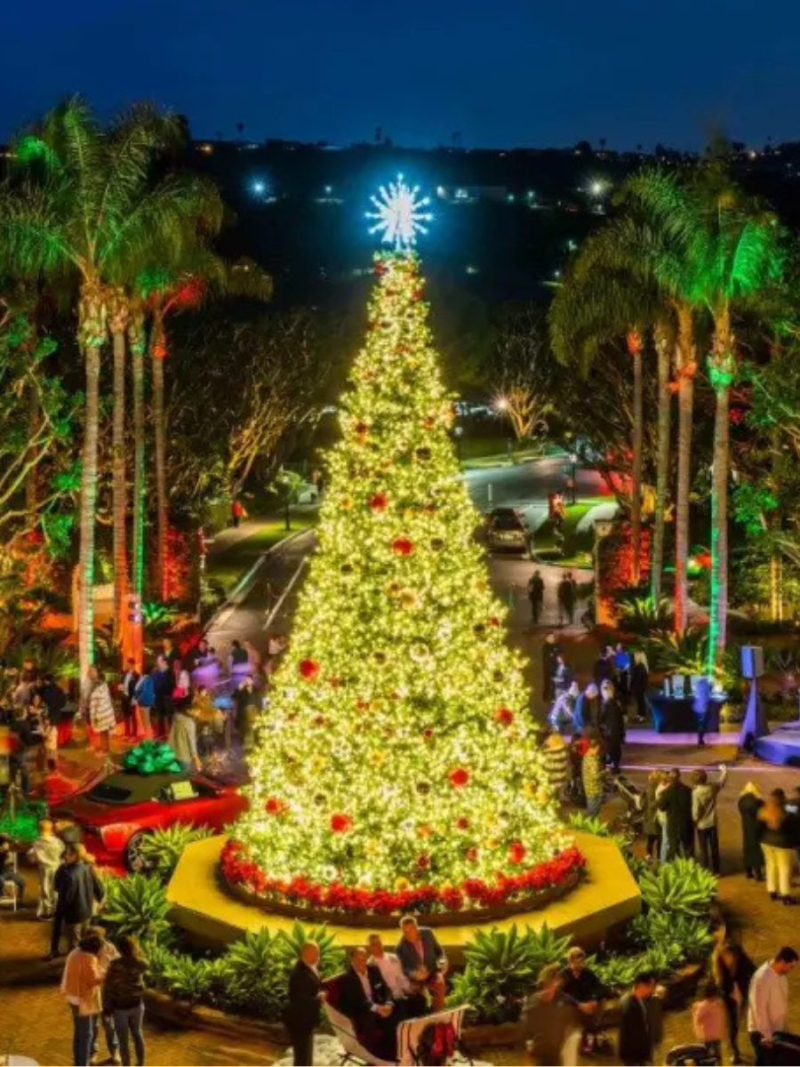 December 2024 Events in South LA County