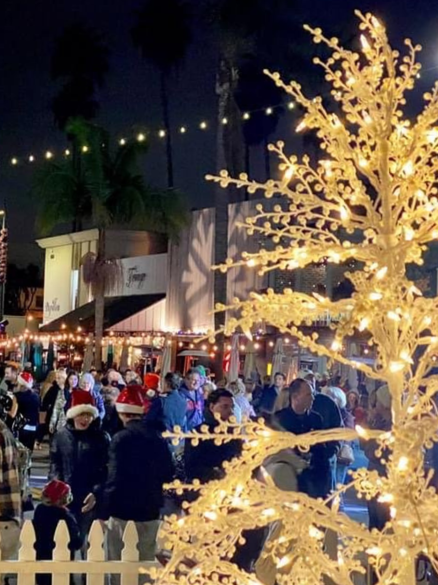 December 2024 Events in South LA County
