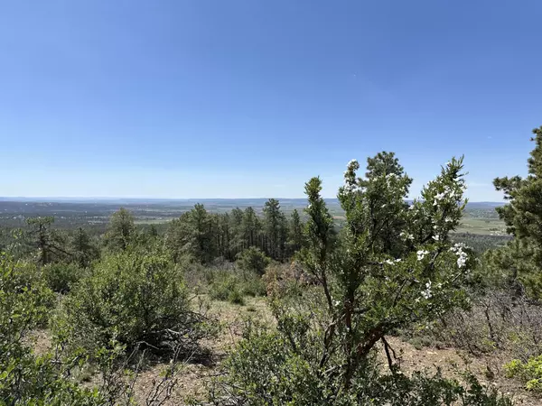 How the Latest Federal Reserve Meeting Minutes Impact Real Estate,Rachel Sadler