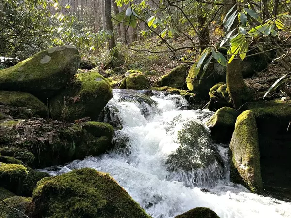 Exploring Nature's Majesty: The Roaring Fork Motor Nature Trail,Ken Herod