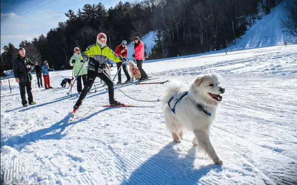 Chewelah Winterfest and Skijoring Finals,Haydn Halsted