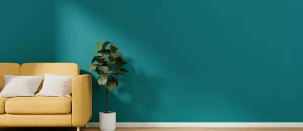 Transforming Spaces into Dream Homes When Selling