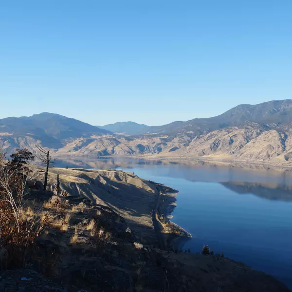 Exploring the Unique Charm of Savona's Real Estate Market,TNRDhomes Real Estate Group